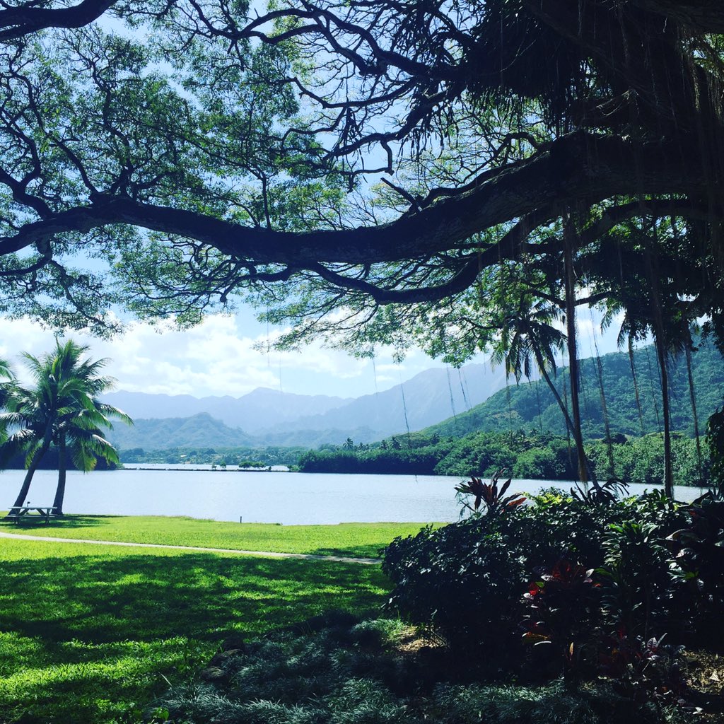 Honokea's tweet photo. Think green. Dream blue. Oasis! https://t.co/Wnjwdxa0tD