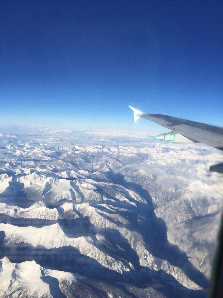 Brea Retzlaff tweet media