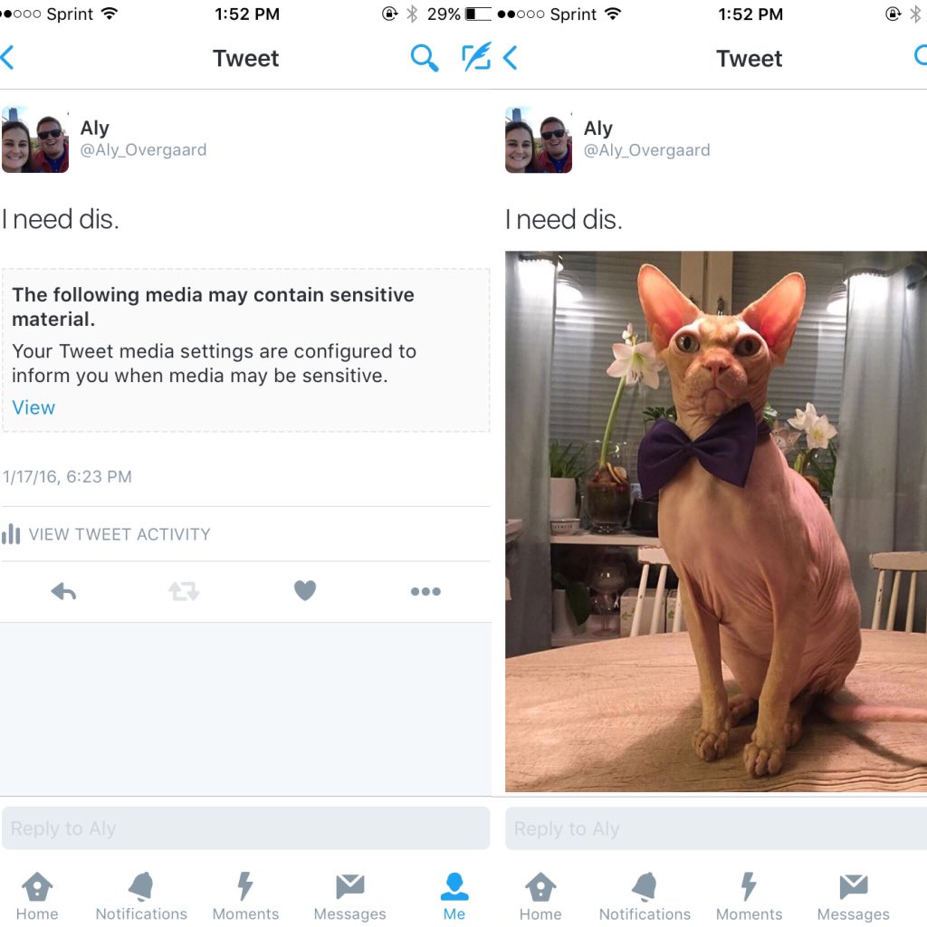 Aly_O91's tweet image. #sensitivematerial