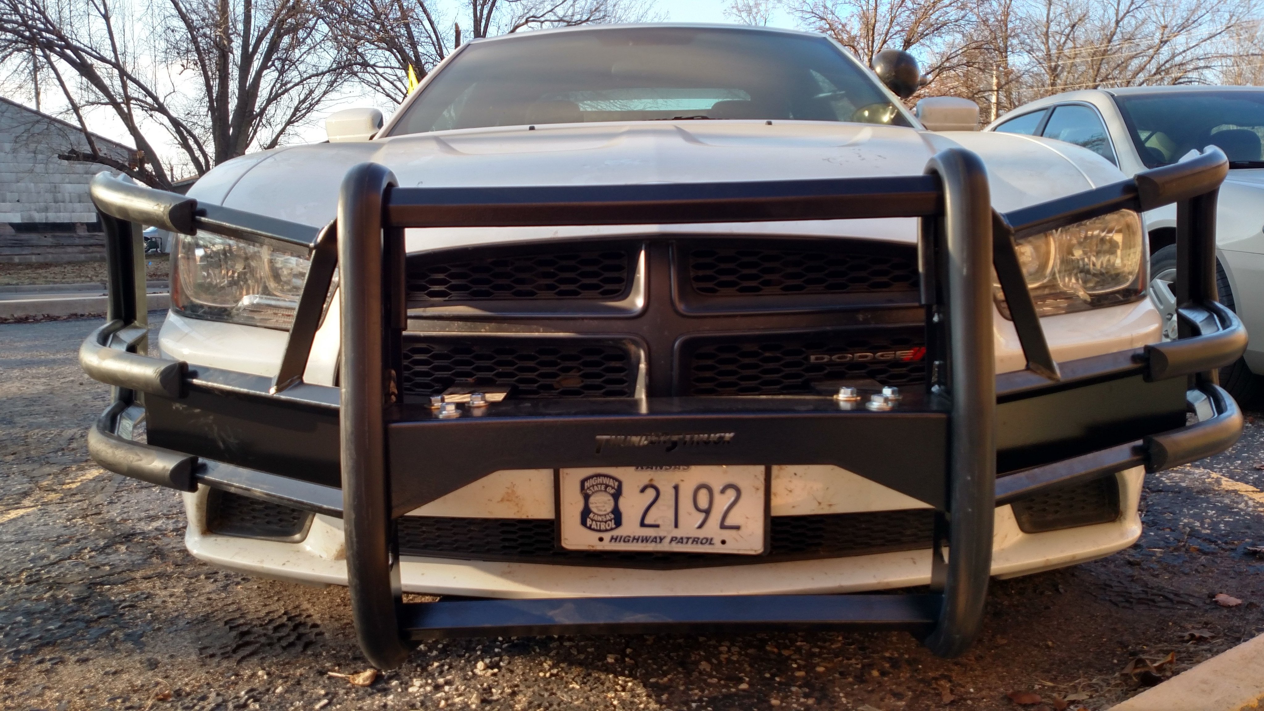 ThunderStruck Bumpers on X