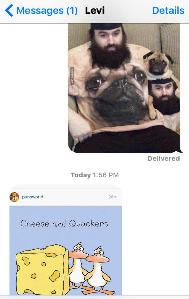 miranda_burns's tweet photo. In case you were wondering what text messages between @LeviShirley and I look like...
#thisiswhywebelongtogether https://t.co/NO4EsehktT