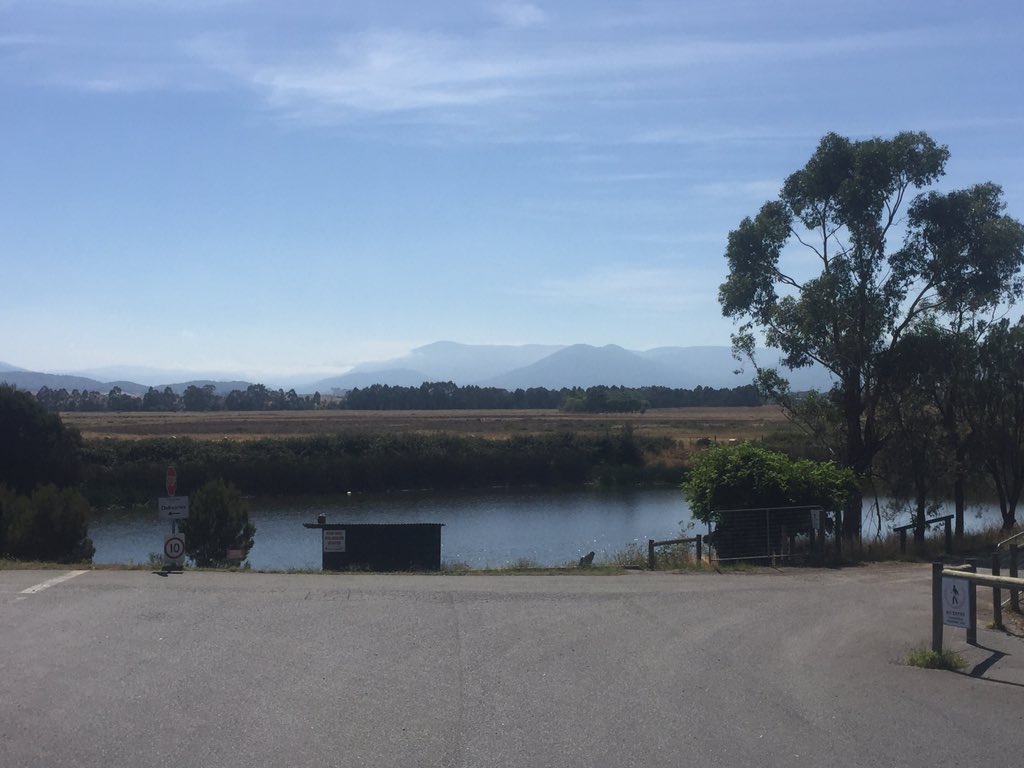 JennyLyne's tweet photo. Yering Station beautiful wine in a beautiful setting @yeringstn @bibendumwine #yarravalley #Australianwine https://t.co/OWGlZ62iZe