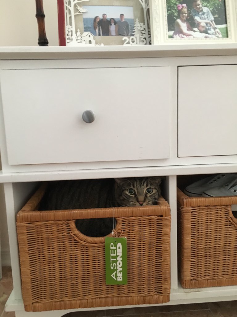wheresbeans's tweet photo. #wheresbeans https://t.co/j8w6ITN8IV