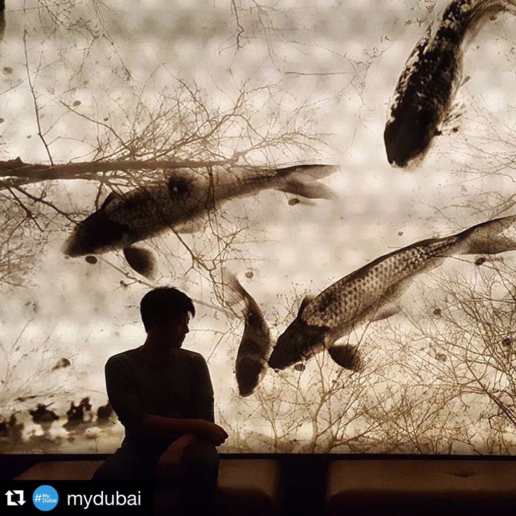 “Ever tried. Ever failed. No matter. Try again. Fail again. Fail better.” – Samuel Beckett
#MyDubai #MyWakame