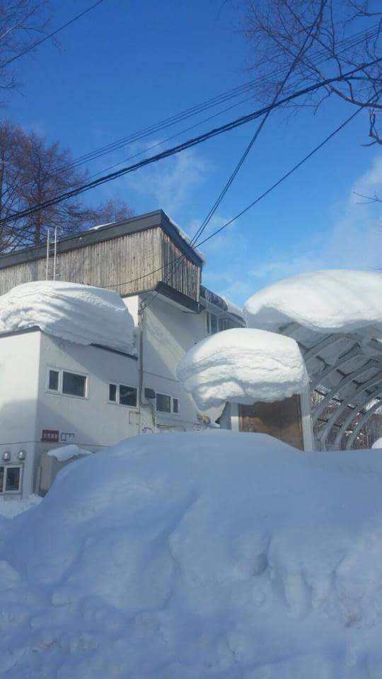 iamJacka's tweet photo. This time last year I was prepping for snowboarding in Japan. Mystery adventure in May #wanderlust #Neverstaystill https://t.co/GTzgEflfNW