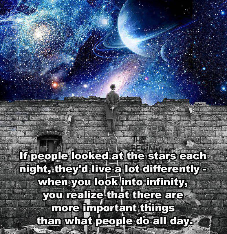 _MindFeed's tweet image. 