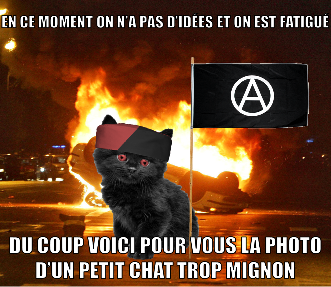 anarcholol's tweet photo. #retireznousphotoshop #saufquonutilisepaint #onfaitapcommetoutlemonde #onesthipster #fuckleshipsterssaufanarchipster https://t.co/Bn2NFZwiuW