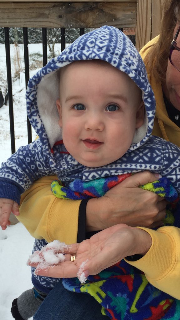 steveh81's tweet photo. Oliver enjoying his first snow - #snoWBIR https://t.co/GekX1d6yBl