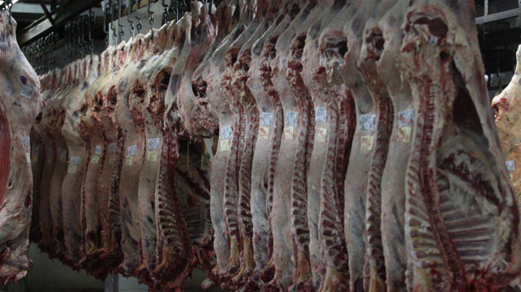 lastivanello's tweet photo. La Unión Europea levanta una restricción para importar carne de la Argentina https://t.co/xmQISqP3zx https://t.co/Wv5BxgXpgu