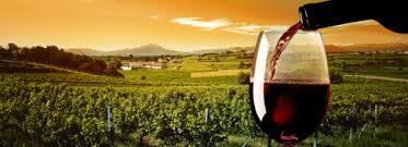 VIPTemecula's tweet image. #valentine #temecula #wineries Visit Temecula's wine country for Valentines weekend.  We will plan it all for you!