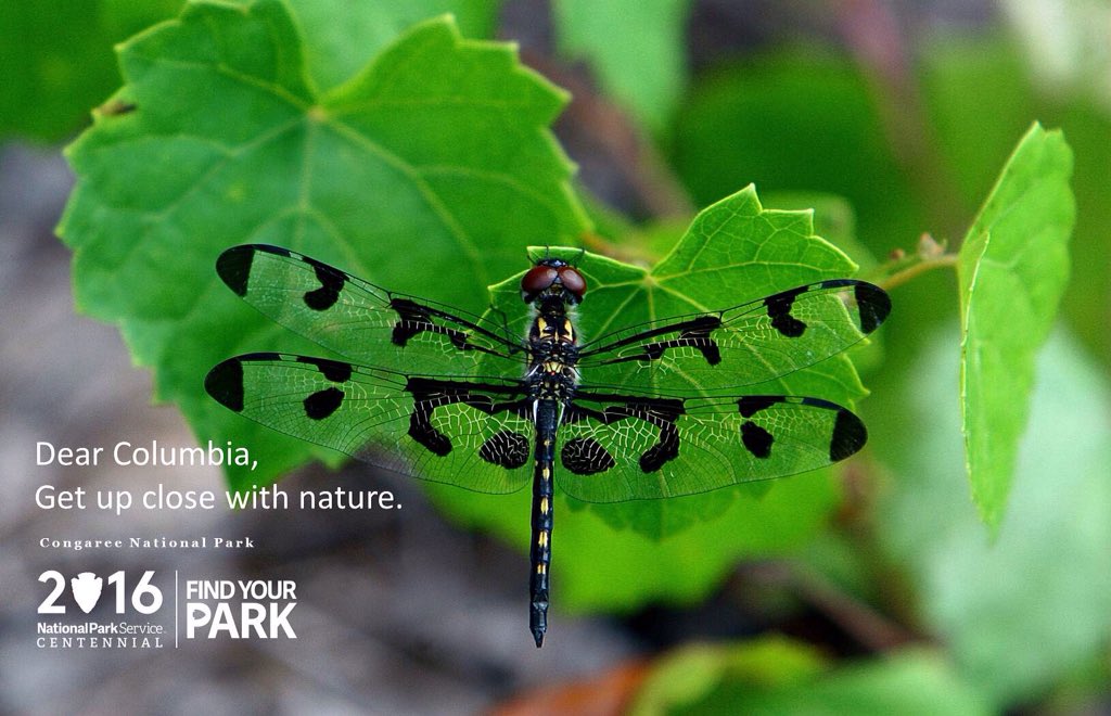 Dear #columbiasc, come out and see what #nature has to offer this year! #FindYourPark #NPSCentennial #NPS100