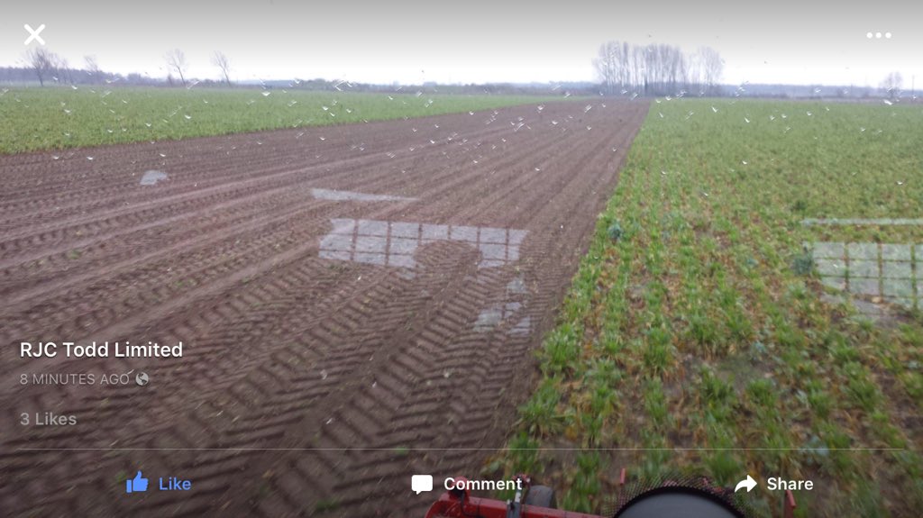 david_mattocks3's tweet image. Rjc Todd ltd lifting sugar beet in wet conditions #agrifac big six