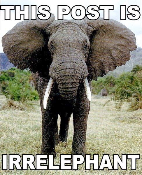 cyberaga's tweet image. #irrelevantPost #pointless #Punny 🐘🐘🐘🐘🐘🐘🐘🐘🐘🐘🐘🐘🐘🐘🐘🐘🐘🐘🐘🐘🐘🐘🐘🐘🐘🐘🐘🐘🐘🐘🐘
