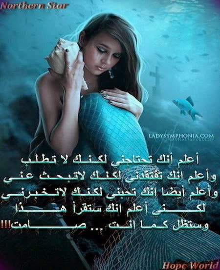 اخ منها شكدثكيله كلمة الوينه حبيبك شرداكلهم ولفي وينه شرداكول اتفاركينه احنه موتونه بدينه اخ من فترةعشكنه شكدكصيره