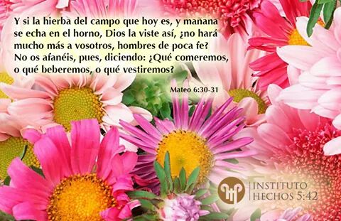 OracionHechos's tweet photo. #SuPalabraEsLaVerdad https://t.co/STw5MDysUp