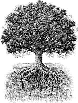 zeus_life's tweet photo. Some say the oak tree symbolizes me. It's probably because I'm so strong. #zmyths3 #benchpress https://t.co/TQ4PT1blQF