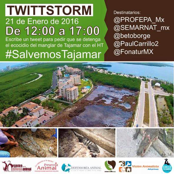 Regina (@regina__falange) on Twitter photo Unámonos contra el #EcocidioCancun #SiSePuede RT <a href="/Dcyon/">Josefina Martín</a> <a href="/DefensaAnimal/">Gente por la Defensa Animal (GEPDA)</a> <a href="/la_woodra/">GiGi</a> <a href="/Froggieland/">Anny Reyes</a> <a href="/NoticieroAnimal/">NOTICIERO ANIMAL ® 🐾</a> Unámonos contra el #EcocidioCancun #SiSePuede RT <a href="/Dcyon/">Josefina Martín</a> <a href="/DefensaAnimal/">Gente por la Defensa Animal (GEPDA)</a> <a href="/la_woodra/">GiGi</a> <a href="/Froggieland/">Anny Reyes</a> <a href="/NoticieroAnimal/">NOTICIERO ANIMAL ® 🐾</a>