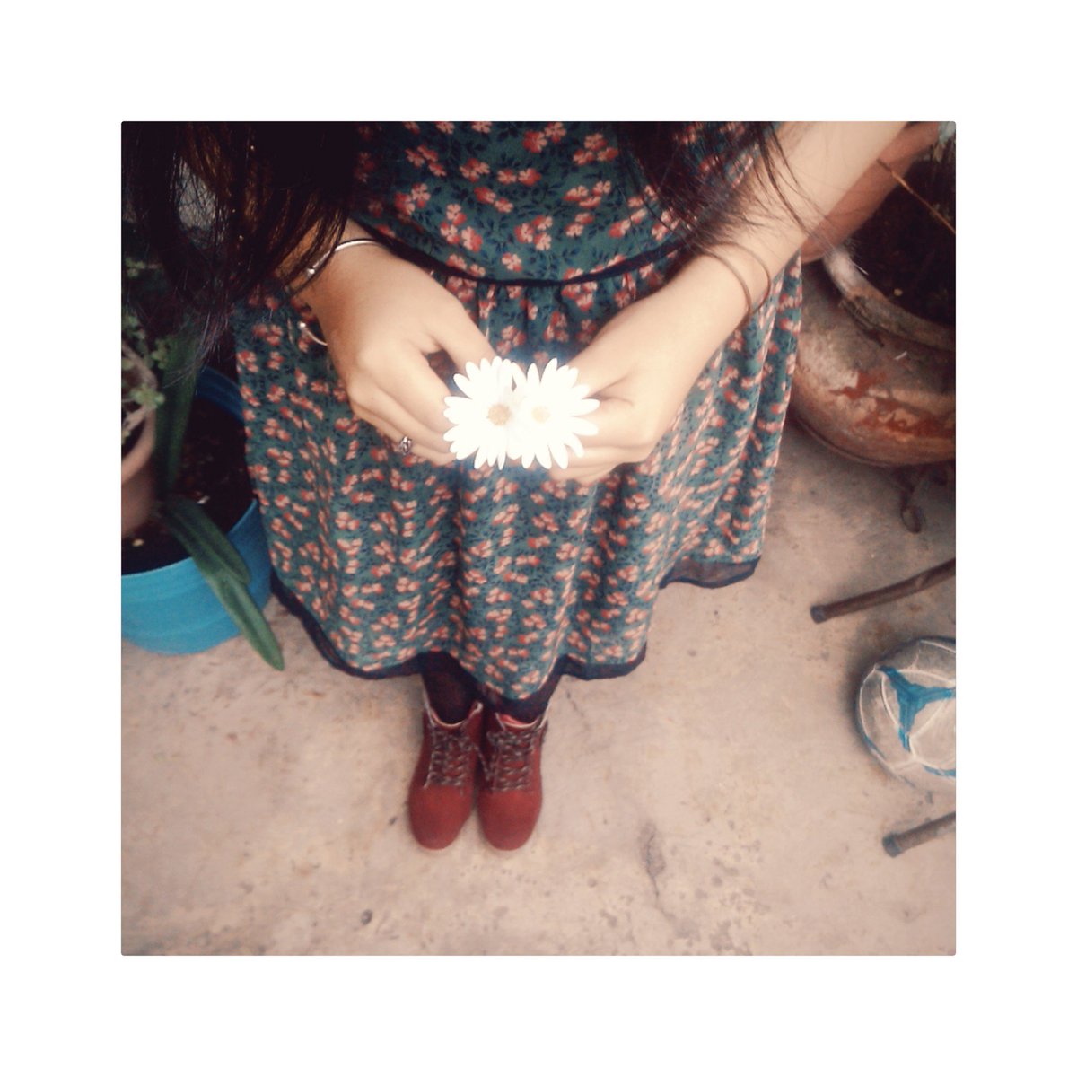 areli7948's tweet photo. Incluso siendo una flor muy sencilla siempre sera hermosa ;) ;) https://t.co/75u0dHP4mL