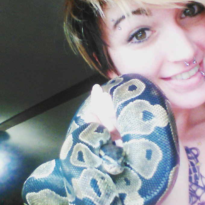 So yea. I love snakes. https://t.co/m7sU5ZiErl<a href="/tag/burbank"class="tags"><span>#burbank</span></a><a href="/tag/zetrinity"class="tags"><span>#zetrinity</span></a><a href="/tag/coox"class="tags"><span>#coox</span></a><a href="/tag/timezoneproduction"class="tags"><span>#timezoneproduction</span></a>
