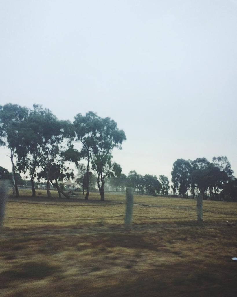 thetellyhope's tweet photo. 21 - Morning: so dark and foggy this morning I love it!! #fms_morning #365project #photoad… https://t.co/GK4ILfLlNX https://t.co/XcvPhmzlaa