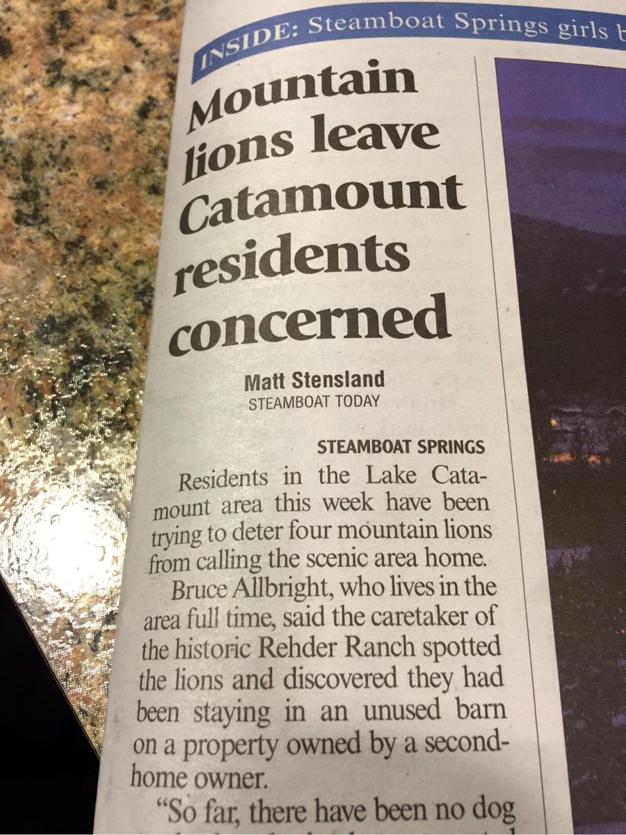 bigyahu's tweet image. Oh great, those mountain lions are back in the tool shed #countryproblems