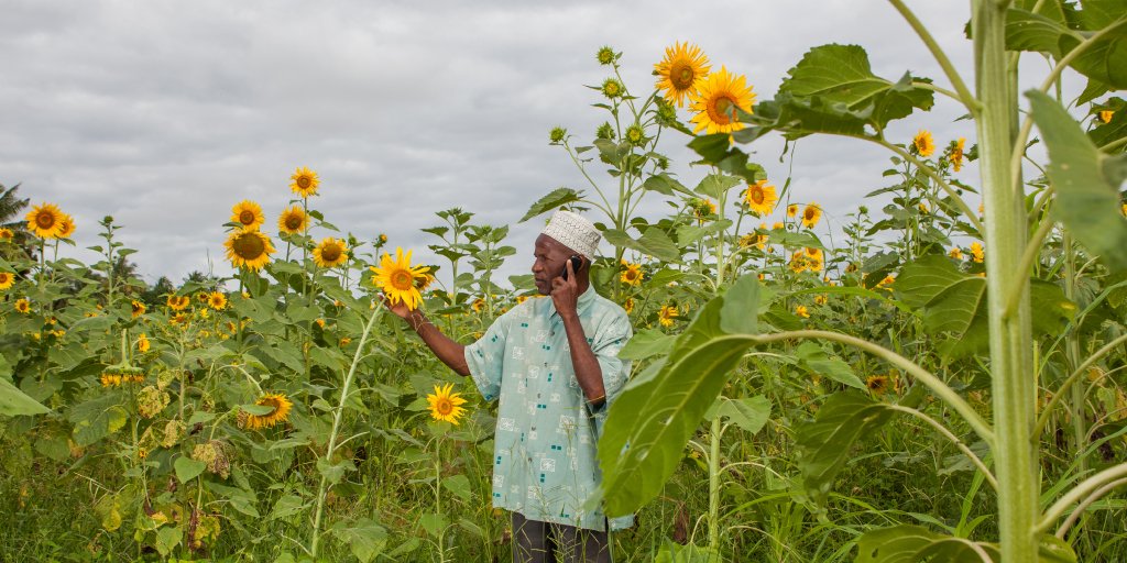 BillGates's tweet image. Digital technology is fundamentally reorganizing life for the poorest people in the world: b-gat.es/1QfA64E
