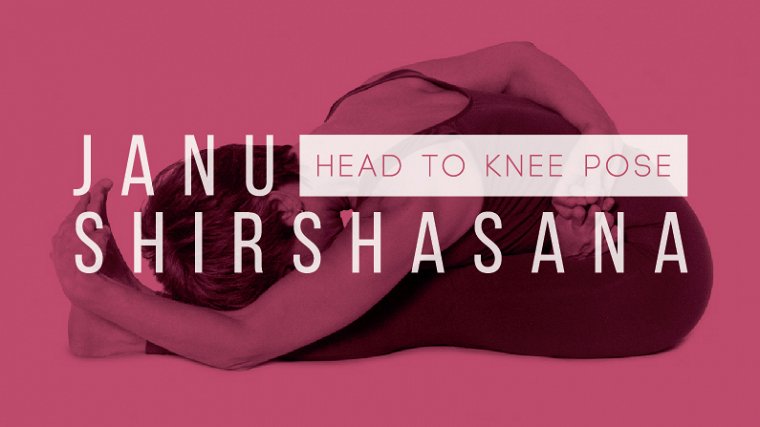 YI_Mag's tweet photo. Refine your janu Shirshasana: head-to-knee pose #forwardbends https://t.co/IsQCl0WeBW https://t.co/Dyrpys2sxp