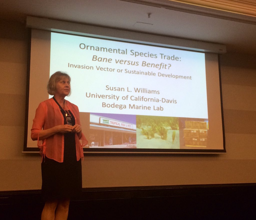 DrEmmaLJohnston's tweet photo. Professor Susan Williams delivers the final plenary for #ICMB2016 weighing up the pros & cons of #ornamental species https://t.co/meGAs2rykt