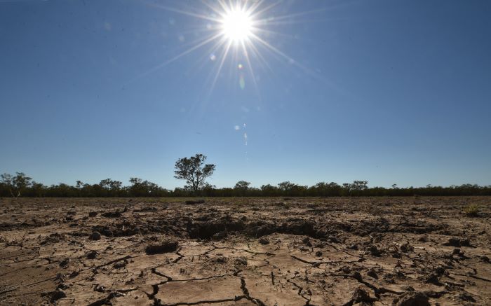 ewnupdates's tweet image. 2015 was hottest on record globally dlvr.it/DL3ZB0