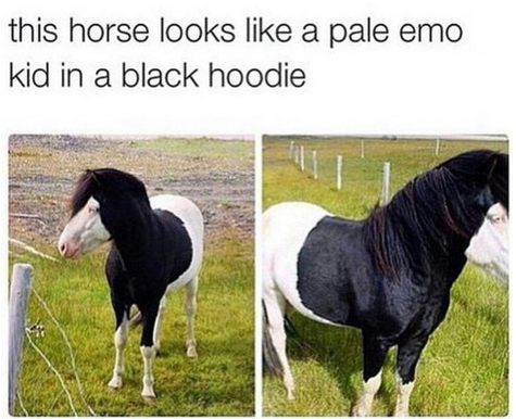 Carlin Burton tweet media