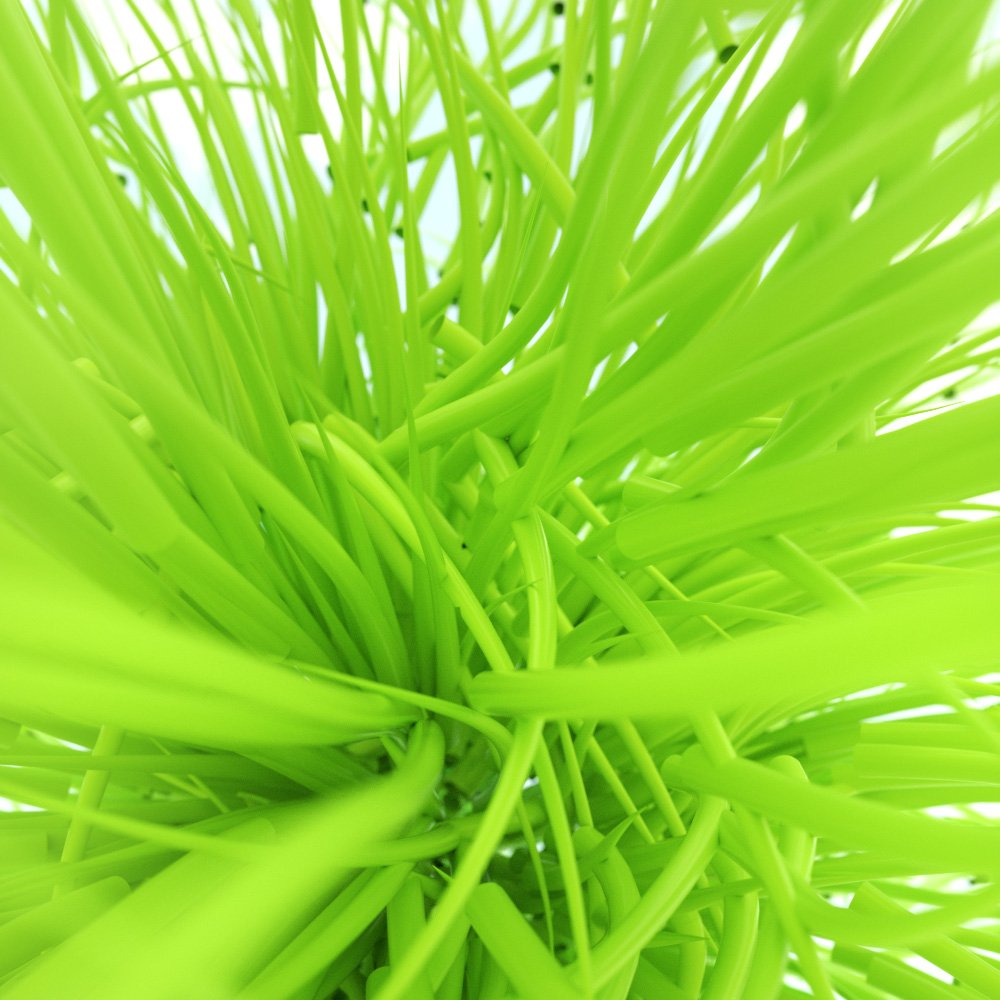 "Green Hairs" - 39 - #Daily #Cinema4D #Octane #Render