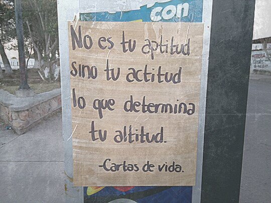 CartasDeVida's tweet photo. En algún parque mexicano. #CartasDeVida #20Ene2016
https://t.co/tqwe776H43 https://t.co/Z1fQ6rPHRa