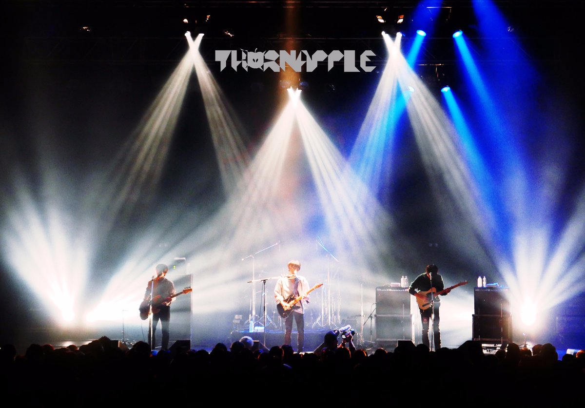 멤버들은 현재 상반기 내로 발표할 EP [서울병](가제)의 곡작업에 열중하고 있습니다. 더욱 좋은 곡을 들려드리기 위해 뼈를 깎는 고통으로 창작에 몰두하고 있으니 기다려 주시고, 또 기대하여 주시기 바랍니다.