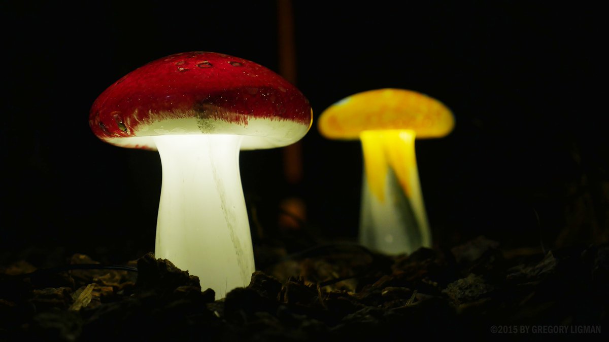 TheClassyBandit's tweet photo. I think Mario misplaced his mushrooms!
#photography #mario #mariobros #nintendo #weird #videogames #gameinsight #:) https://t.co/px3qwlJ4x5