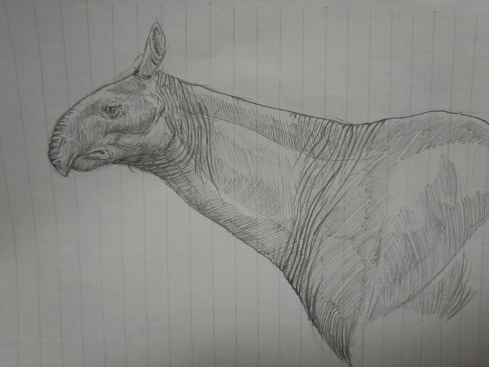 今日の落書き。 