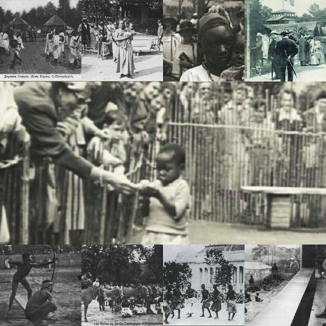 AfricanArchives's tweet image. Black people were kidnapped from Africa and brought to be exhibited in the human zoos. Many of them died quickly.