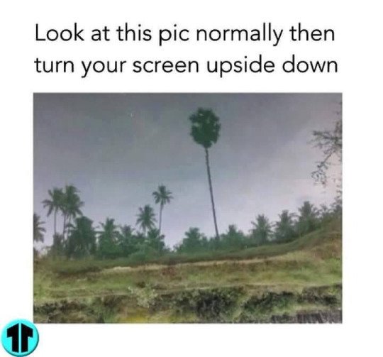 Look at this pic normally and then turn it upside down.