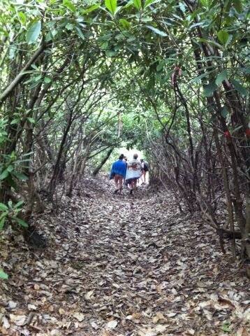 ArquimedesJaenG's tweet image. #WorkingBetter in #BocasdelToro #Panama #nature #beachworkouts