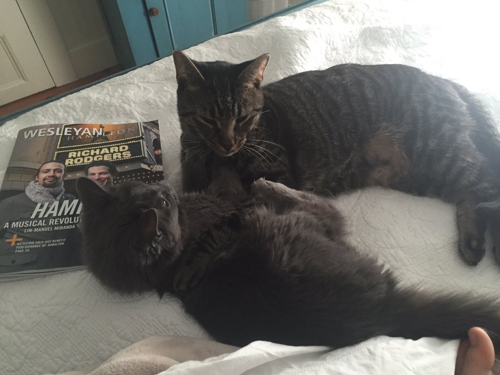 oralgermwhore's tweet photo. First thing Mom says to me when I get to her house: "I got the Wesleyan Hamilton Lin magazine" #pluscats #godbless https://t.co/RTa1C3K3LR