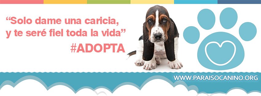 Paraiso Canino MX tweet media