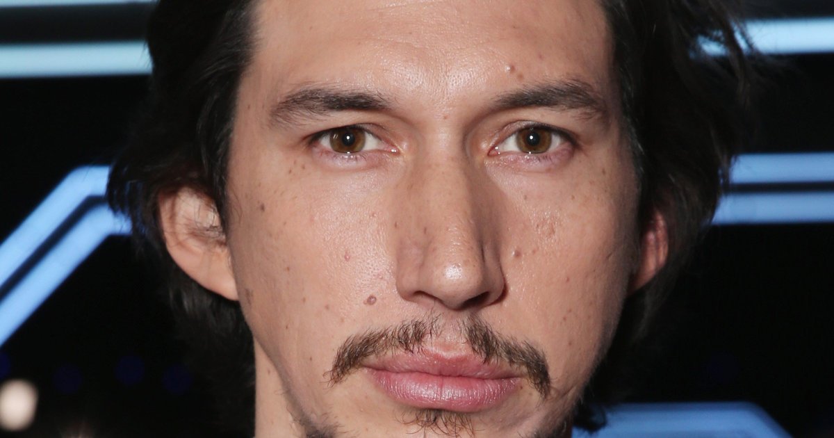 HuffPost on Twitter "Cat who looks like Adam Driver gets adopted