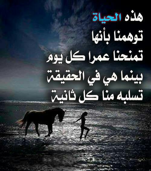 فتاه تحقق حلمها  (@alabadey99) on Twitter photo 