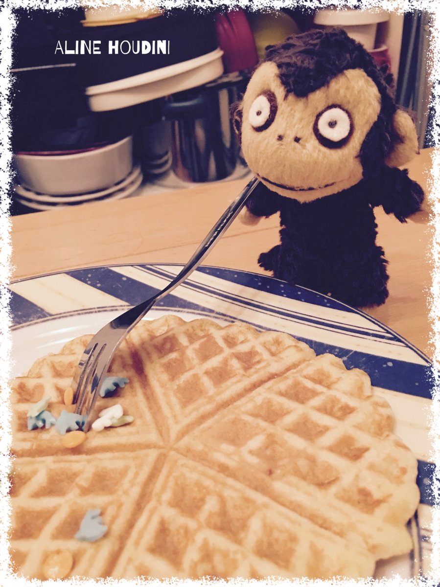 good morning ☕️ waffles anyone? #cam4 #camily