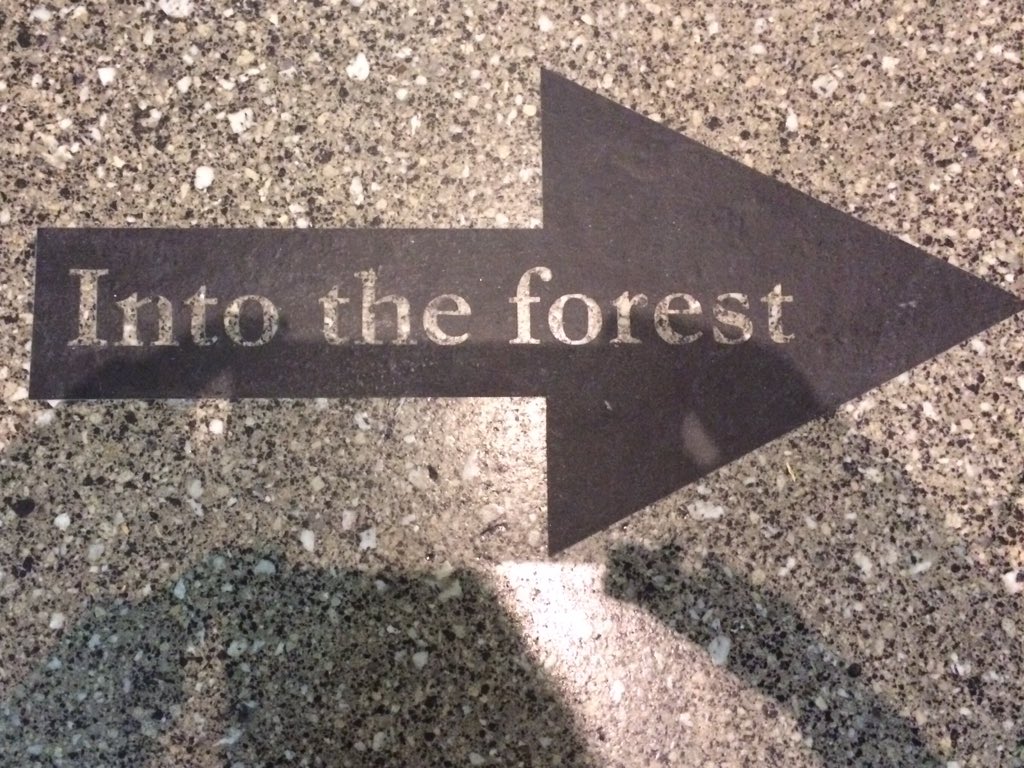 MaxHoughton8's tweet photo. You have til Saturday to see the freshest forest of photographs by graduating MA doc students @ITFOT2016 @LCCLondon https://t.co/Na1ORconHG