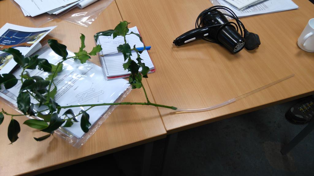 dalefortcentre's tweet photo. Practicing the #ALevel #Biology #Potometer experiment using two different methods https://t.co/Fmt6JgZJTk