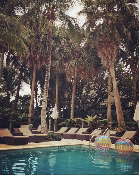GrandBeachMiami's tweet photo. Current situation at our #beachfrontpools.
Photo by @la_popa! https://t.co/AYRS9vfLyj #photooftheweek https://t.co/caQCOQo69X