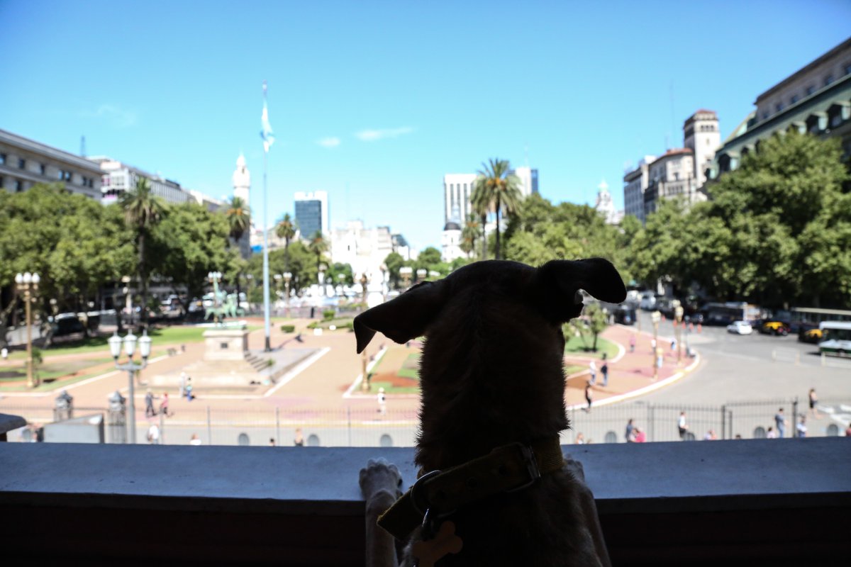 Cuidando la Casa hasta que vuelva.