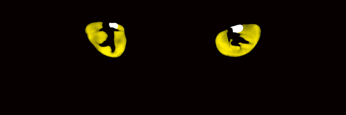 CatsMusical's tweet photo. Let the memory live again. @CATSBroadway is coming July 2016. Learn more: https://t.co/Ik6ciFj7r3 https://t.co/N5Q83xQWGv