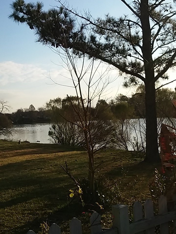 holem327's tweet photo. My mourning view!!!! https://t.co/6otpxiY12z