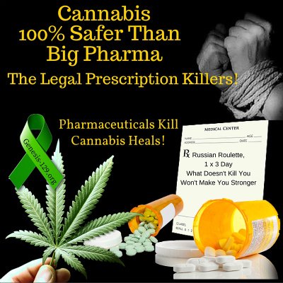 monkeysgirl351's tweet image. Cannabis is Safer than ANY Pharmaceutical!  ow.ly/XmfQH